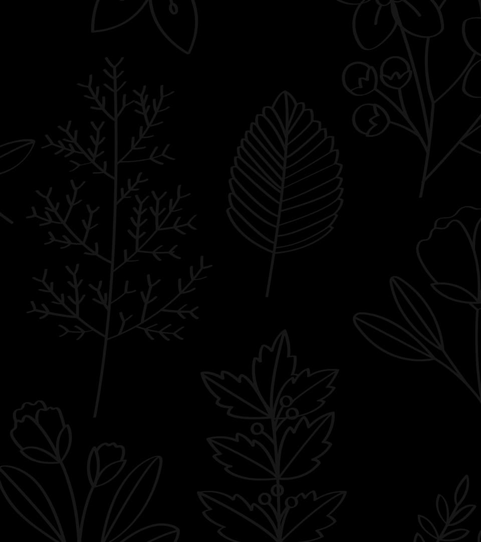 main_header-101.jpg