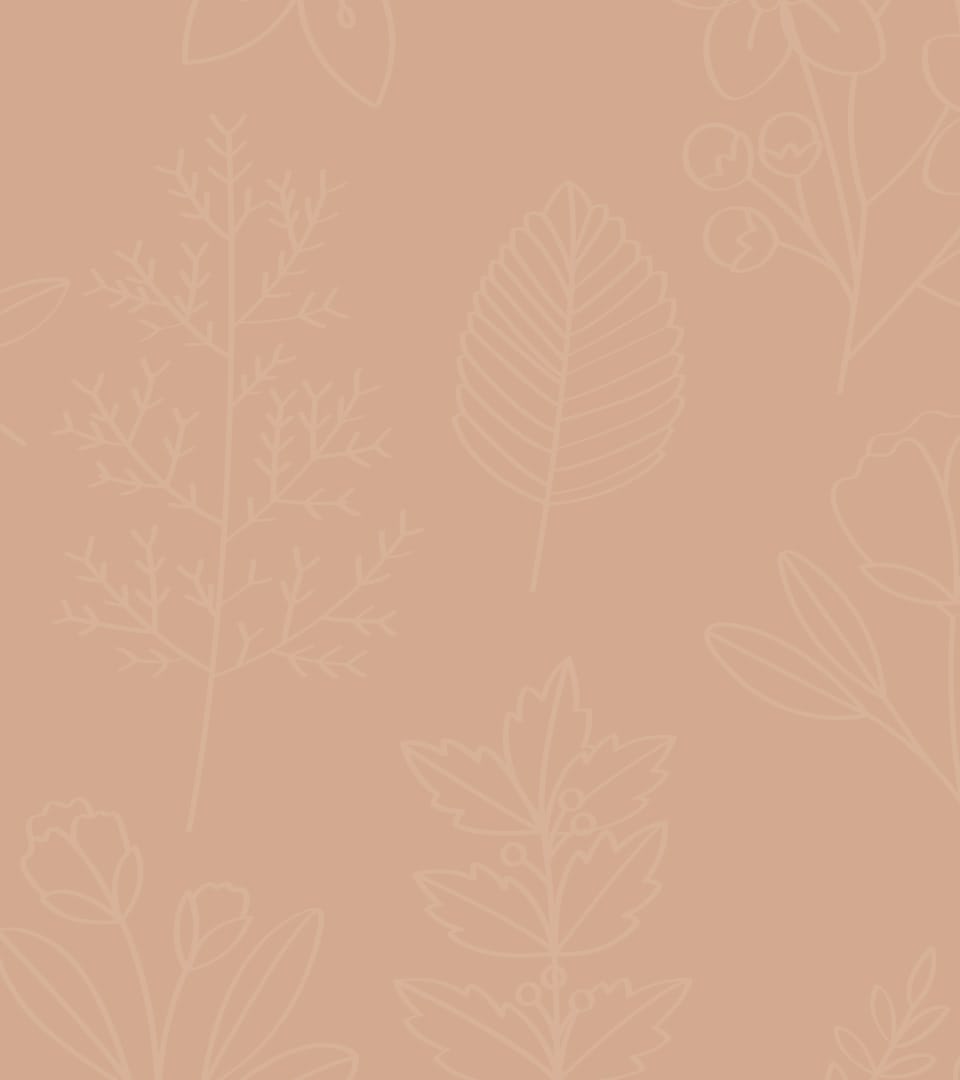 main_header-8-11.jpg